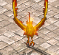 金光小鳳凰.gif